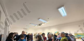 FOTO/VIDEO – Picturi care se ascultă: Inedită experiență multimedia cu Angela Szabo și „iarba Fiarelor”, la Muzeul din Bistrița