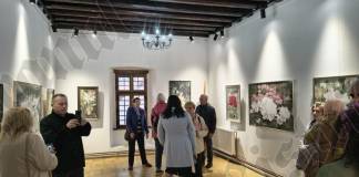 FOTO/VIDEO – Explozie de culoare și lumină, la Casa Argintarului: Onița Mureșan ne dezvăluie grădinile interioare, într-o adevărată radiografie a florilor