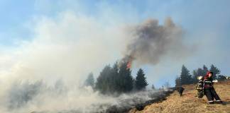 Primarul din Parva după incediul care a mistuit 15 ha de pădure: „O generație întreagă s-ar putea să nu mai vadă pădurea în zona incendiată!”