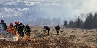 VIDEO: S-a reușit lichidarea incendiului de pădure din Parva