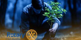 Voluntarii Rotary Club Bistrița îi invită pe bistrițeni la o acțiune de împădurire, în aaprilie, la Colibța