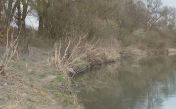 FOTO: Un bărbat din Șieu Odorhei, găsit mort în râul Șieu!