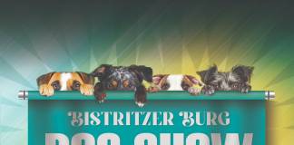 Peste 300 de câini, mulți veniți de peste granițe, la Bistritzer Burg Dog Show 2026, în acest weekend