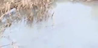 VIDEO: De ce refulează canalele la Sigmir! AQUABIS a găsit conducte care deversau de pe dealuri în canalizare