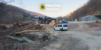 DETALII: Ce făceau firmele de prelucrare a lemnului din Șant și Valea Mare de au ajuns să fie călcate, ieri, de mascați