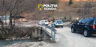 VIDEO: În județul nostru, perchezițiile pe domeniul silvic au vizat două societăți comerciale. Prejudiciu de aproape 400.000 lei