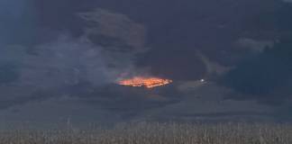 Peste 30 de incendii de vegetație într-o săptămână. Amenzi de 11.500 lei aplicate