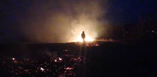 ”Toate dealurile alea ardeau!” – Pompierii atrag atenția asupra riscului arderilor de vegetație uscată. Au aplicat și amenzi