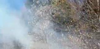 VIDEO: A aprins deșeuri vegetale lângă pădure, la Colibița! Focul s-a extins rapid