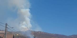 Incendiu de proporții la Parva: Arde o pădure de fag!