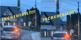 VIDEO: – HALUCINANT: Târa un molid de 16 metri, după mașină, pe Valea Ghinzii