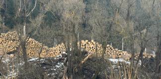 Garda Națională de Mediu a găsit dezastru pe malurile râului Bistrița: amenzi de 600.000 de lei și o sesizare penală