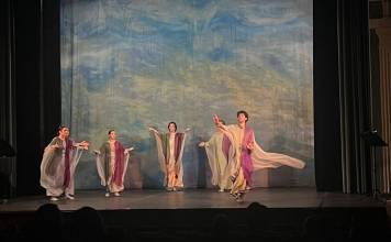 FOTO/VIDEO: Basme de Frații Grimm și un spectacol cu poeme din Rilke, Sylvia Plath, Hilde Domin, la Festivalul de Euritmie din Bistrița