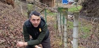 FOTO: Pe urmele trecutului, în Pădurea Cărbunarilor. Noi descoperiri, scoase la lumină în Feldru și Nepos