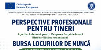 Angajatori și candidați, față în față: Bursa locurilor de muncă „Active Youth”, la Bistrița!