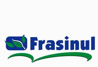 FRASINUL: ”Ne supunem procedurilor legale. Dar toate proiectele merg mai departe!”