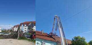 FOTO/VIDEO – Efectele vântului la Bistrița: Un copac rupt, elemente de acoperiș desprinse