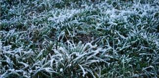 Îngheț teribil în Bistrița-Năsăud! Temperaturi de până la -10°C în această dimineață