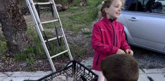 FOTO: Intervenție neobișnuită a polițiștilor la Nețeni, după un „conflict imobiliar” provocat de un stup de albine agitate