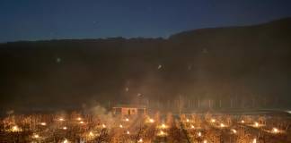 Temperaturile scăzute „lovesc” în livezile de pomi fructiferi! Proprietarii de livezi apelează la foc pentru a proteja pomii: