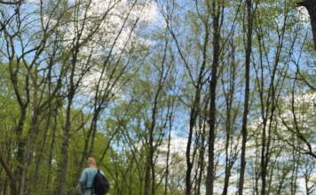 Bistrițenii vor putea să ia la pas sau pe două roți pădurile din jurul municipiului: se pregătește un traseu de drumeție și plimbare!