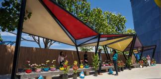 FOTO: O piață de flori ar putea pune în valoare ”trotuarul- parcare” de pe Crinilor