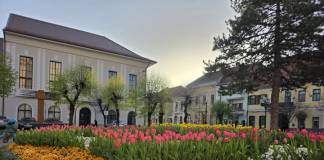 Bistrițenii, invitați la o dezbatere publică privind sălile de jocuri din oraș