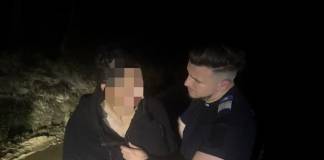 FOTO/VIDEO: Tânăr urmărit prin pădure de urs, între Rebrișoara și Coșbuc