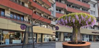 Puțină umbră și culoare în Piața Petru Rares. Trei umbrele verzi ne vor răcori în zilele toride