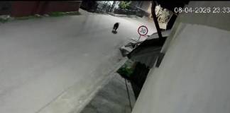 VIDEO – Primarul Doru Crișan: Atenție! Tot mai mulți urși pe străzile din Prundu Bârgăului