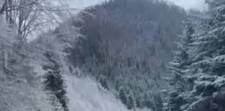 FOTO: 14 tone de antiderapant împrăștiat pe drumurile naționale din județ, acoperite cu zăpadă