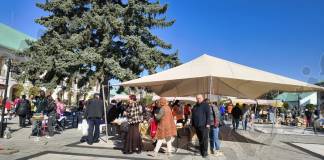 FOTO/VIDEO: Târgul de Purici și-a deschis porțile, la muzeu. Ce noi chilipiruri și surprize vă așteaptă în ediția de primăvară