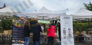 FOTO/VIDEO: Cât de bine ne cunoaștem județul? Oferte turistice și povești inedite, la micro-târgul de turism, organizat în premieră de studenții UBB