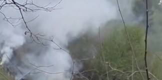 Incendiu de pădure la Telciu