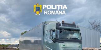 Camion de 190.000 de euro din Bistrița-Năsăud – confiscat la Cluj, după un transport suspect de lemne
