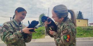 EMOȚIONANT: Doi cățeluși rămași fără mamă, crescuți cu grijă de femeile militar ale Brigăzii 81 Mecanizată