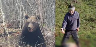 FOTO/VIDEO – Sever Mureșan, primar Telciu: ”Avem foarte mulți urși. Se apropie de locuințe și uite că avem deja vieți omenești luate!”