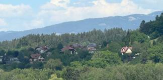 Un tânăr din Nepos și-a pierdut viața, după ce s-a scăldat într-un lac din Austria