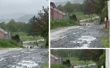 FII REPORTER – VIDEO – Câinii de pe strada Lacului Bistrița continuă să terorizeze zona: „Aleargă după oameni și copilași! Este ceva de groază!”