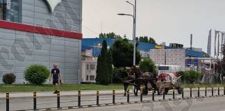 Rostul de dimineață: Câteva cuvinte despre căruța cu coviltir care a traversat în goană Calea Moldovei din Bistrița