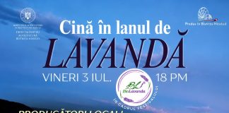 Cină în lanul de lavandă, cu produse locale, la Festivalul Biolavanda