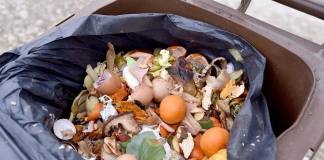 Bistrițenii vor fi nevoiți să recicleze separat și resturile vegetale: noi containere vor apărea pe platformele de deșeuri dintre blocuri