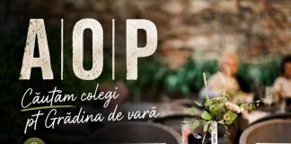 AOP Restaurant angajează ospătar cu experiență, Aquabis caută instalatori pentru Bistrița și Beclean