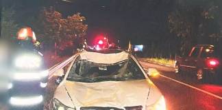Un bistrițean s-a ”trezit” cu un cal proiectat în mașină, în timp ce se deplasa pe DN 17, în Cuzdrioara