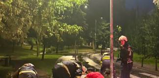 FOTO: Arborele doborât de furtună, în Parcul Municipal, îndepărtat! ”Vom continua tăierea arborilor care sunt un pericol!”