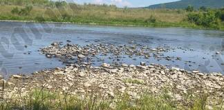 Rostul de dimineață: La pescuit, birjar, la pescuit…