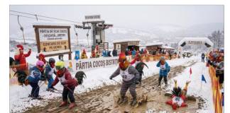 FOTO – Radiografia unui eșec ecologic, social și financiar. 73% dintre bistrițenii chestionați NU ar recomanda Pârtia Cocoș altor persoane. 70% sunt foarte nemulțumiți