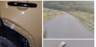 VIDEO: Mașină atacată de câini, pe scurtătura de pe Dealul Herinei