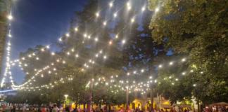 Bistrițenii, păsări de noapte. Orașul se animă în weekend, iar vârful curselor vine abia la 23:00