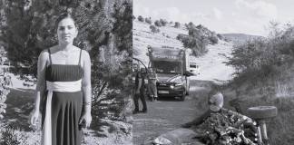 Patru fete rămase orfane de mamă, după accidentul mortal de ieri, din Livezile